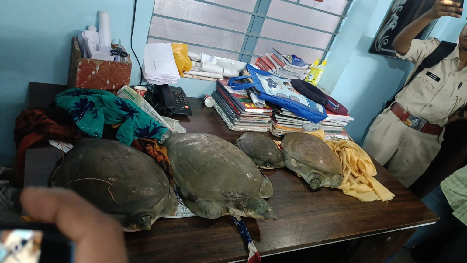 बिहार में कछुआ स्मगलिंग का भंडाफोड़! मुजफ्फरपुर जंक्शन पर दुर्लभ प्रजाति के कछुओं के साथ महिला गिरफ्तार, पढ़ें पूरा मामला