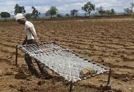 जमशेदपुर: मानसून की बेरुखी से किसानों में बेचैनी, टकटकी लगाकर कर रहे बारिश का इंतजार