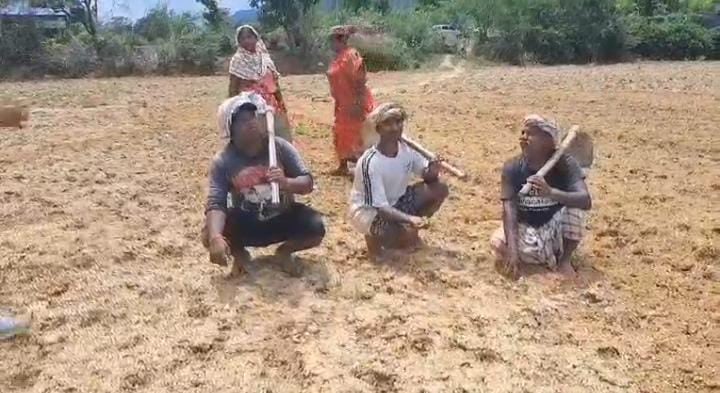 मानसून के रुखे रवैये से किसानों में फैली मायूसी! कोल्हान के किसान बारिश नहीं होने से हुए परेशान
