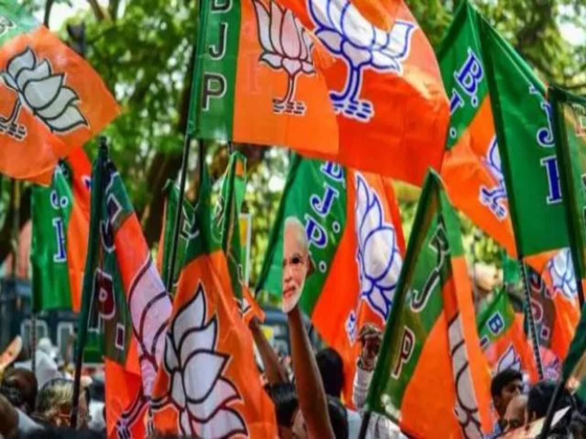 Exclusive : झारखंड भाजपा में निकली वैकेंसी, ताबड़ तोड़ आ रहे हैं आवेदन, जानिए रोचक जानकारी