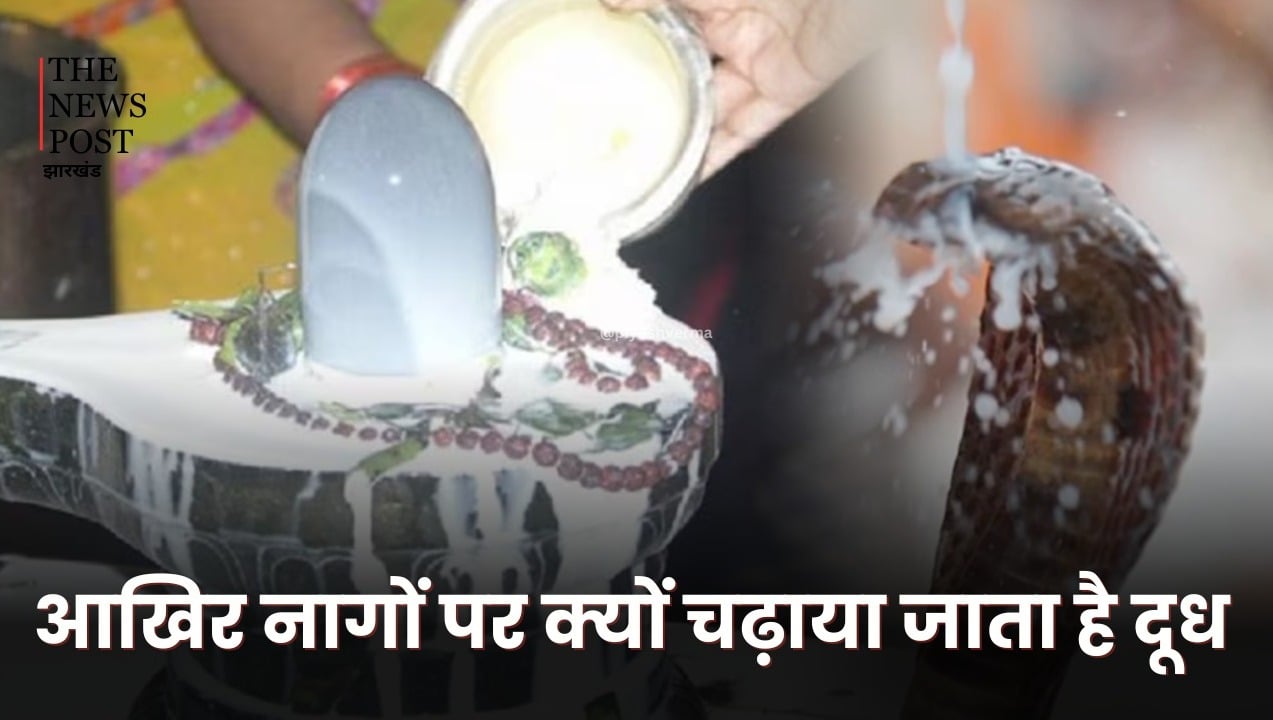 नाग पंचमी 2024: नागों पर दूध चढ़ाने के पीछे की क्या है कहानी, जानें कैसे हुई नाग पंचमी मनाने की शुरुआत