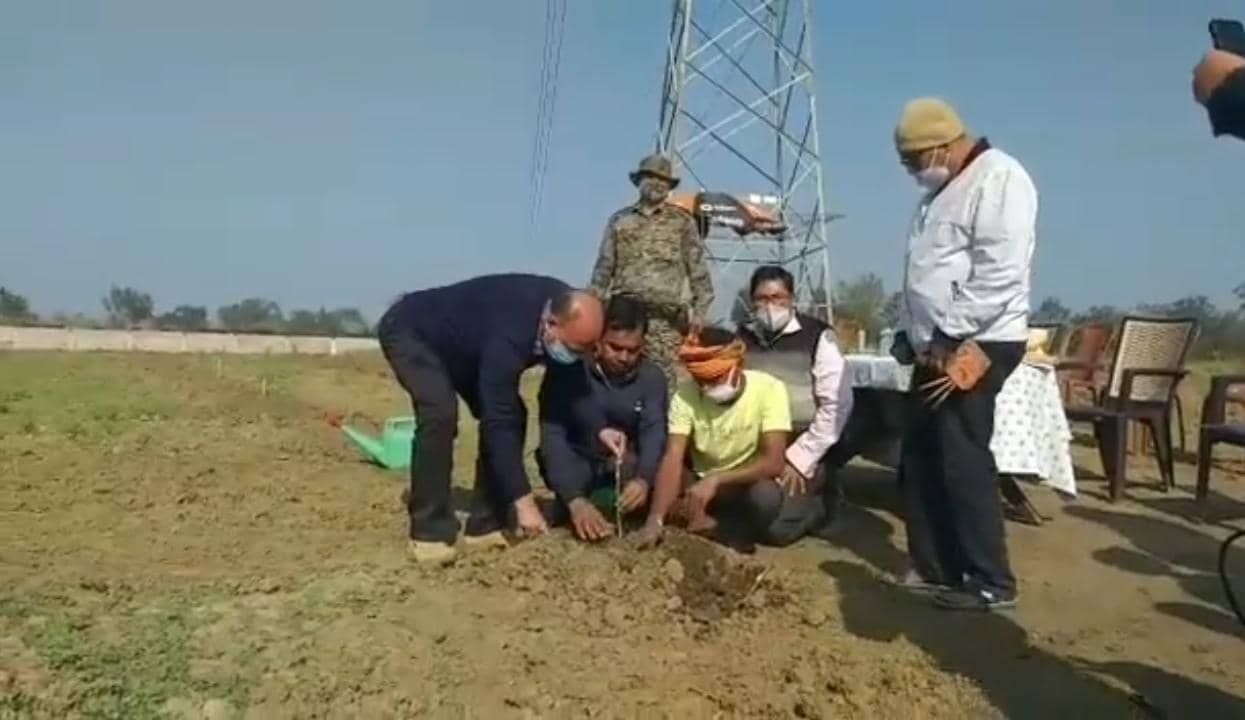 पलामू जल्दी ही फलेंगे सेब लाल लाल, किसान होंगे मालामाल