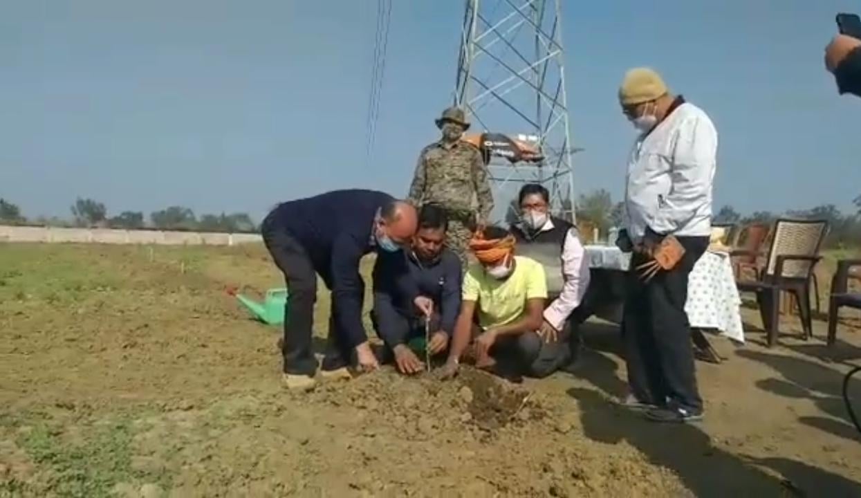 पलामू जल्दी ही फलेंगे सेब लाल लाल, किसान होंगे मालामाल