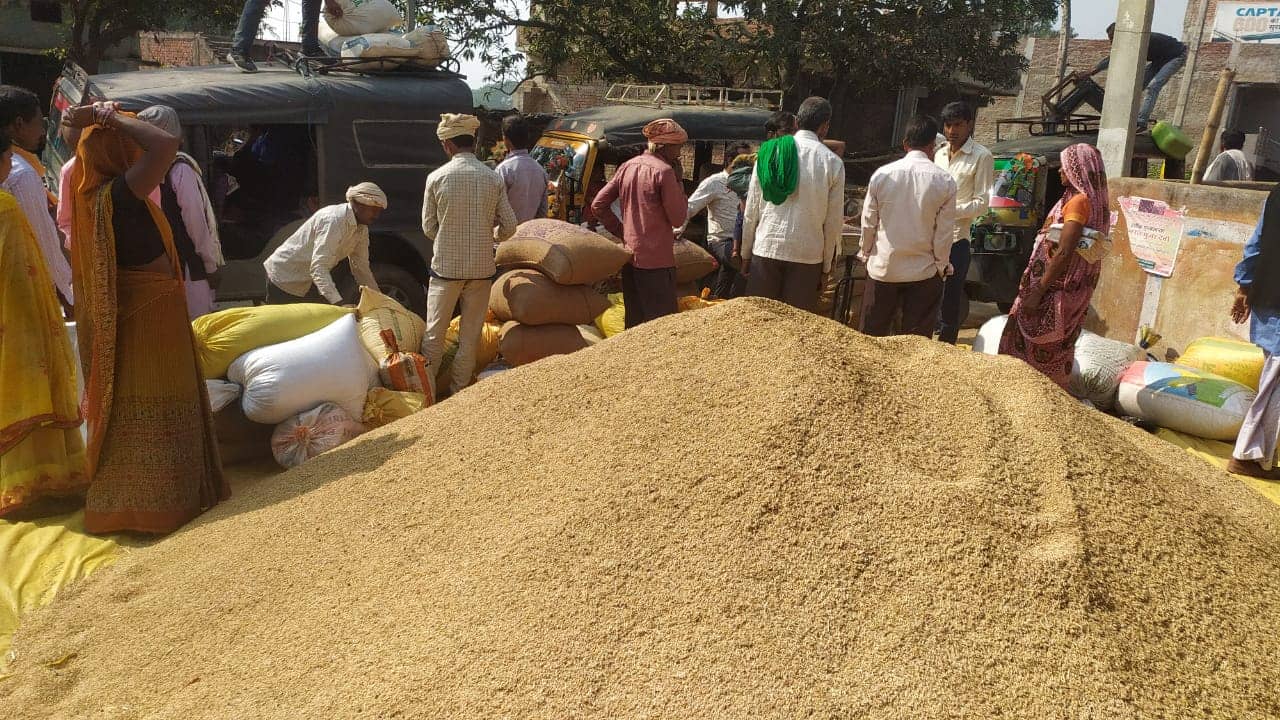 पलामू में किसानों के साथ छल, धान खरीद में 43 करोड़ 20 लाख का घोटाला !