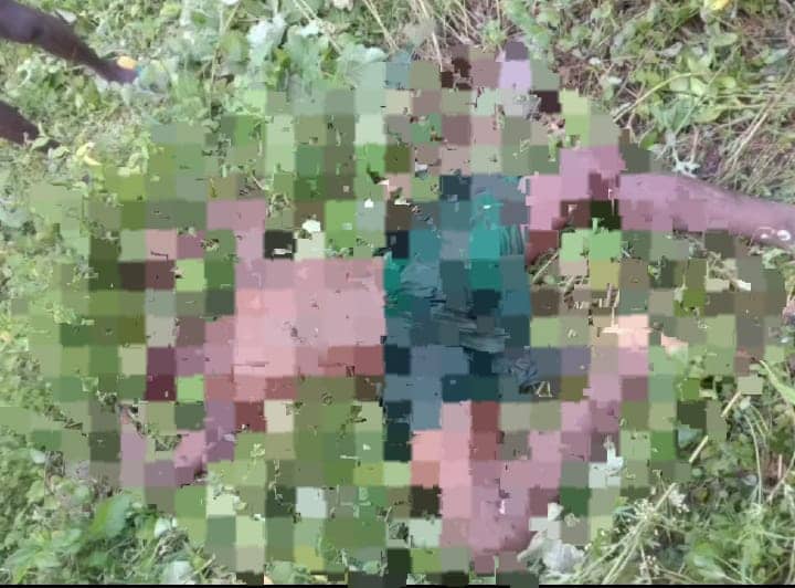 गढ़वा में नहीं थम रहा हाथियों का आतंक! हाथियों के झुंड ने एक की कुचलकर ली जान, ग्रामीणों में आक्रोश