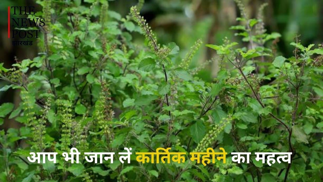 हिंदुओं के लिए क्यों हैं कार्तिक महीने का सबसे ज्यादा महत्व, तुलसी की पूजा में छिपा है धन-एश्वर्य और पारिवारिक शांति का रहस्य