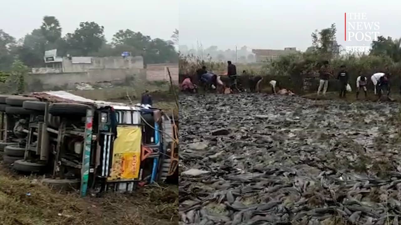 मछली की लूट..! सड़कों पर मछलियां ही मछलियां ऐसा नज़ारा देख आप भी हो जाएंगे हैरान