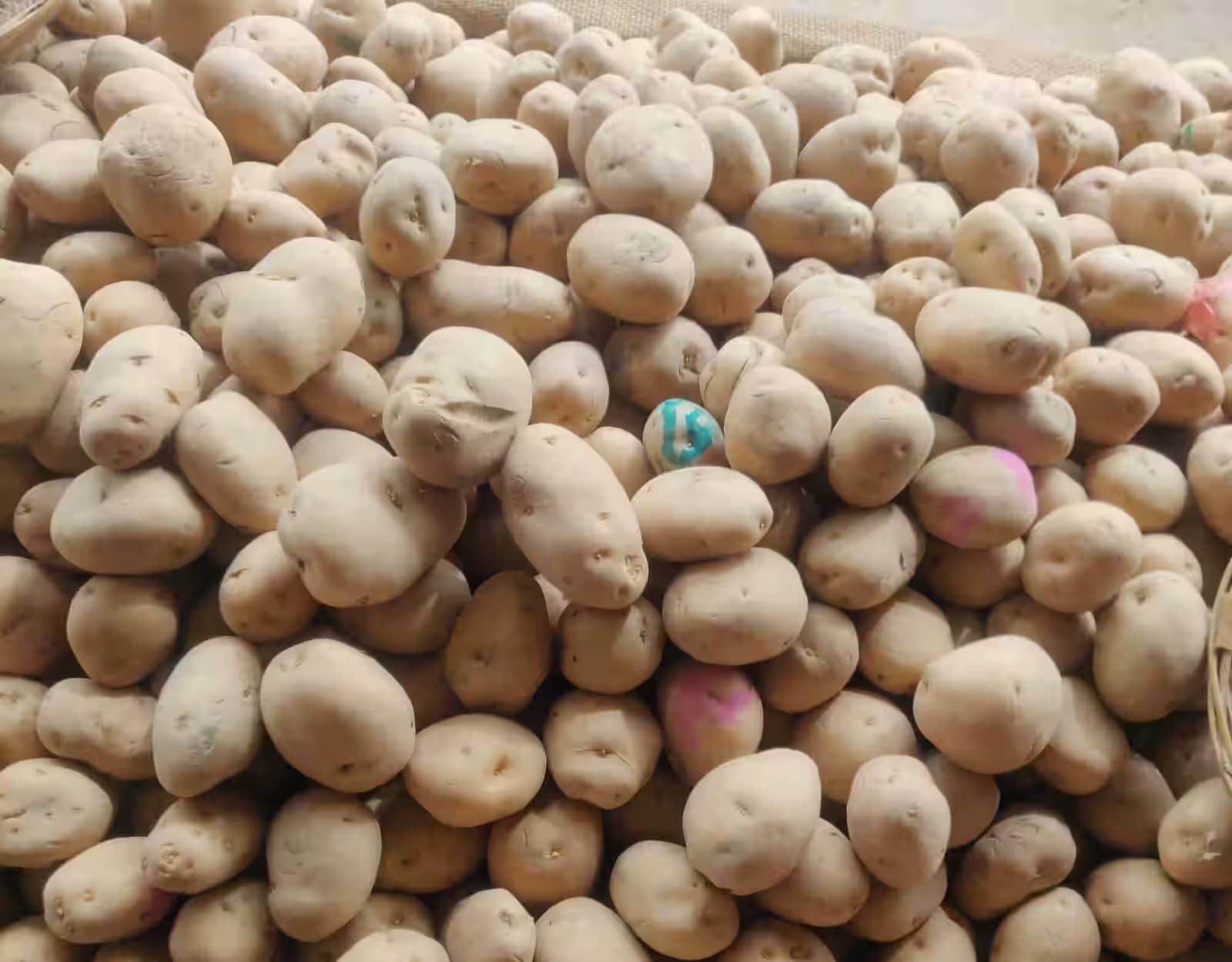 मुख़्यमंत्री जी! झारखंड के लोगों के भोजन की थाली से गायब हो रहा आलू, पढ़िए क्या है कारण