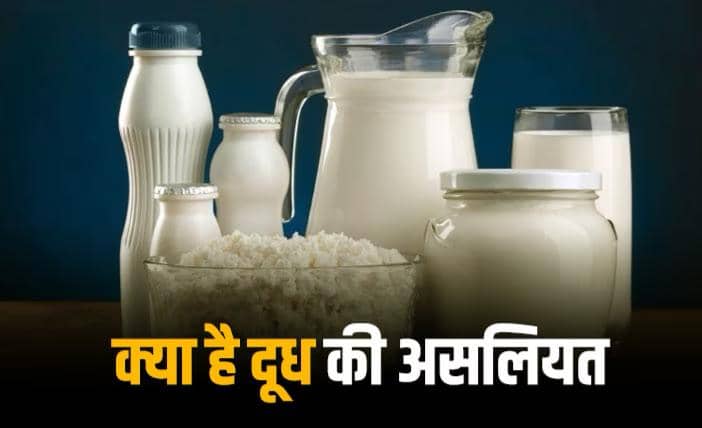VIDEO: कहीं आप भी दूध की जगह केमिकल तो नहीं पी रहे? देखिए कैसे 1 लीटर केमिकल से तैयार होता है 500 लीटर निकली दूध