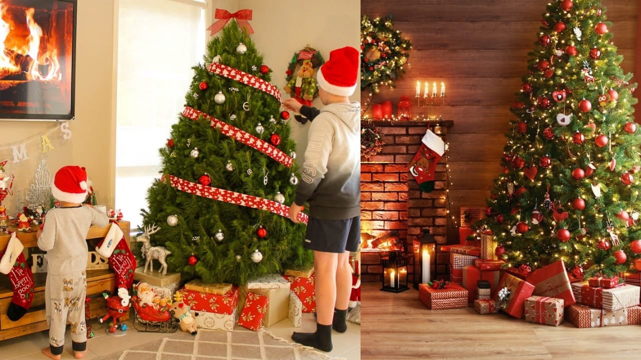 MERRY CHRISTMAS 2024: क्रिसमस ट्री का है रोचक इतिहास, क्या आप जानतें है इससे जुड़े राज़?