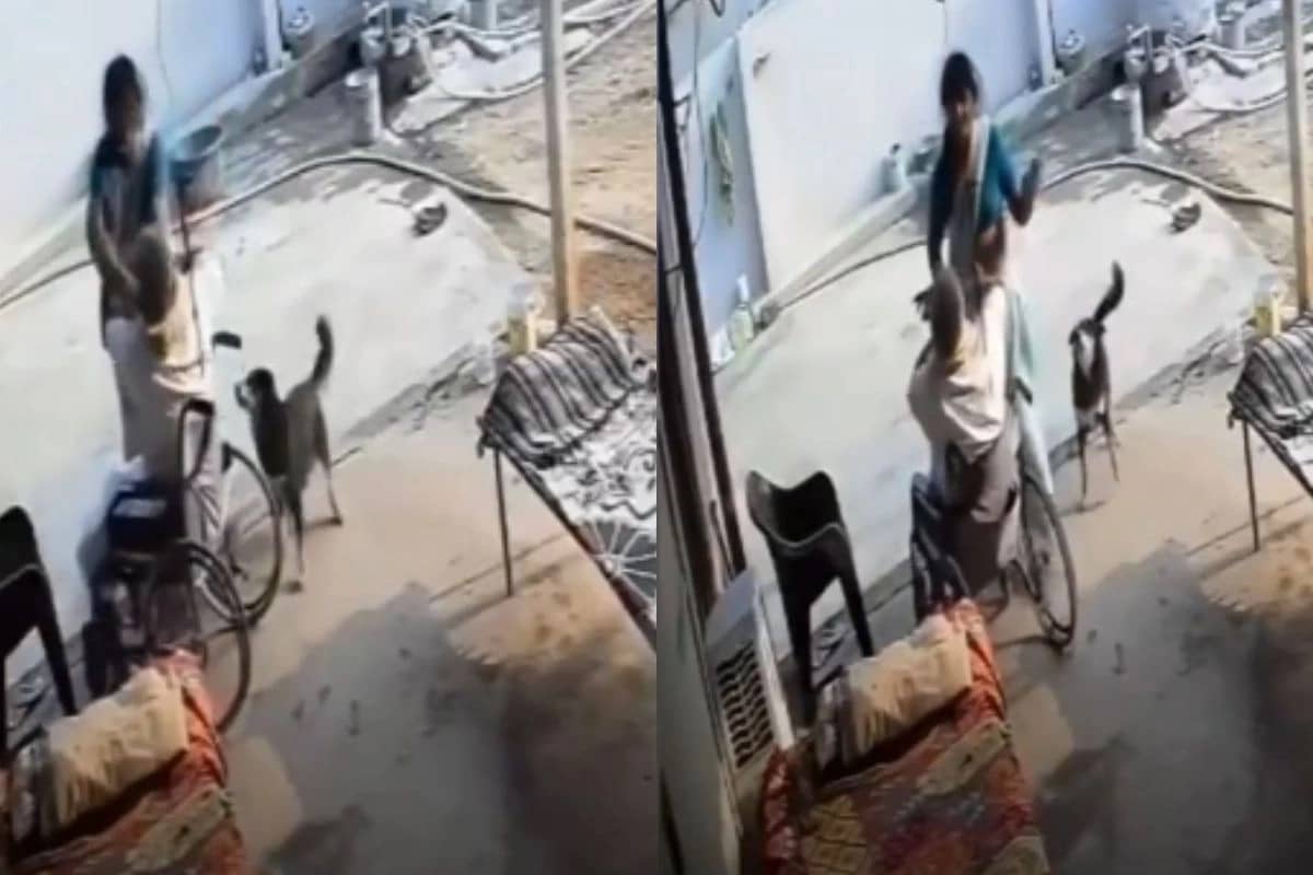 बहू की दरिंदगी! व्हील चेयर पर बैठे ससुर की चप्पल और थप्पड़ से कर रही थी पिटाई, फिर वफ़ादार कुत्ते ने जो किया देख भावुक हुए लोग, देखिए VIDEO