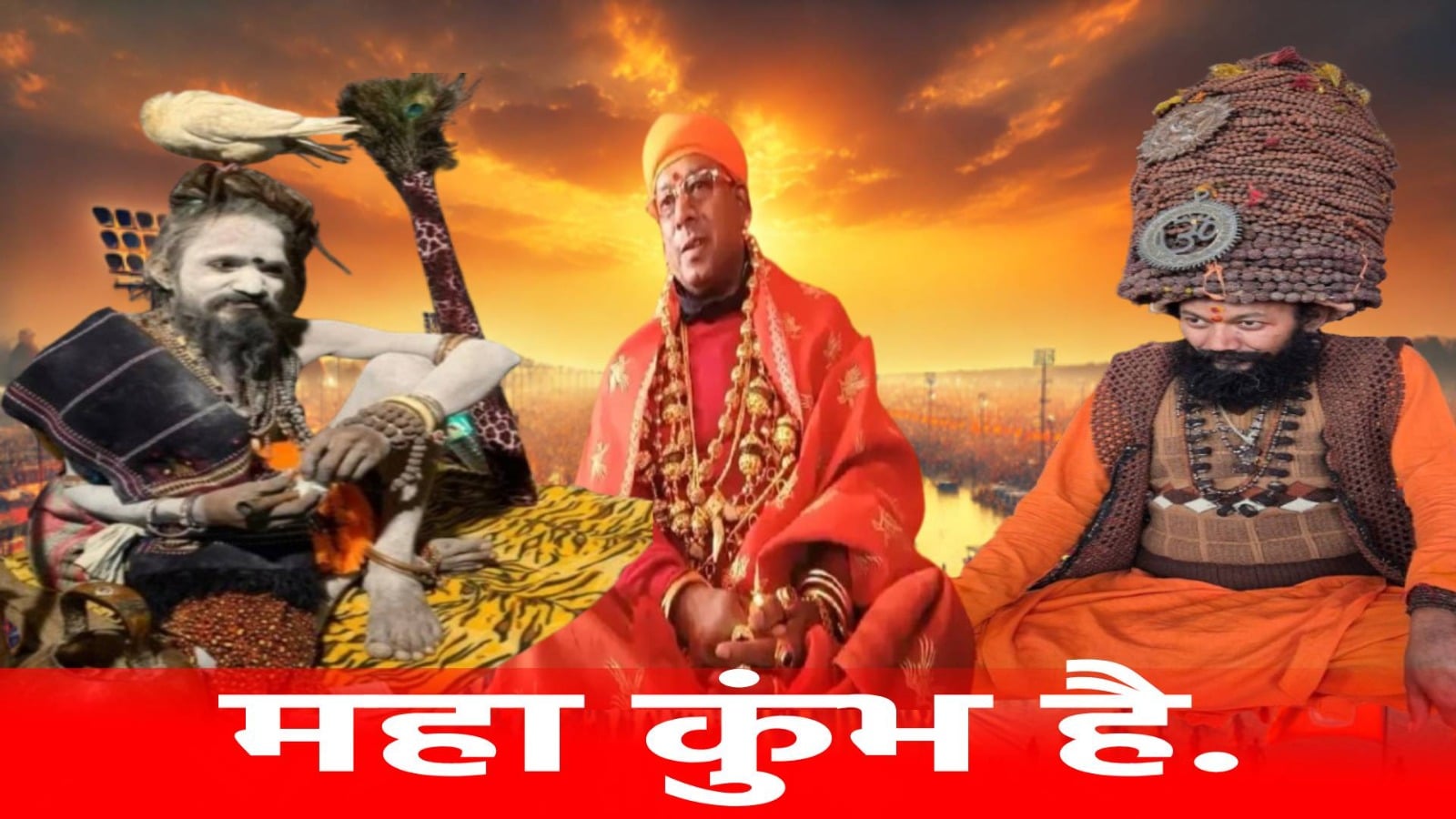 इस बार के महाकुंभ में नागा साधुओं के बाद गोल्डन, कबूतर और रुद्राक्ष बाबाओं की लगी टोली, जानिए क्या है खास