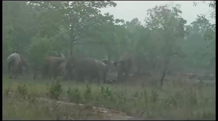 चाकूलिया में हाथियों का ताडंव से ग्रामीण परेशान, घर तोड़कर अनाज चट कर रहे है हाथी, पढ़ें क्या कर रहा है वन विभाग