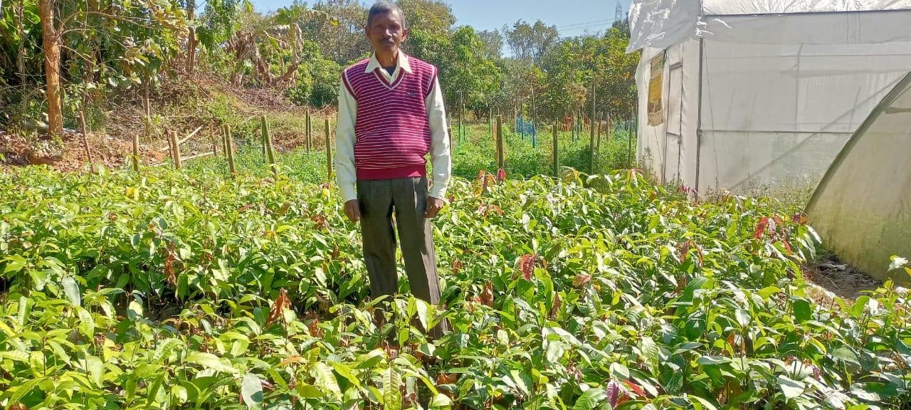 दीदी बाड़ी योजना से उद्यमी बन रहे किसान, पौधों की नर्सरी तैयार कर बढ़ा रहे आमदनी