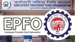 आपके काम की खबर : अगर आप नौकरी बदलने के शौक़ीन है तो बिलकुल मत करिये प्रोविडेंट फंड राशि ट्रांसफर की चिंता !