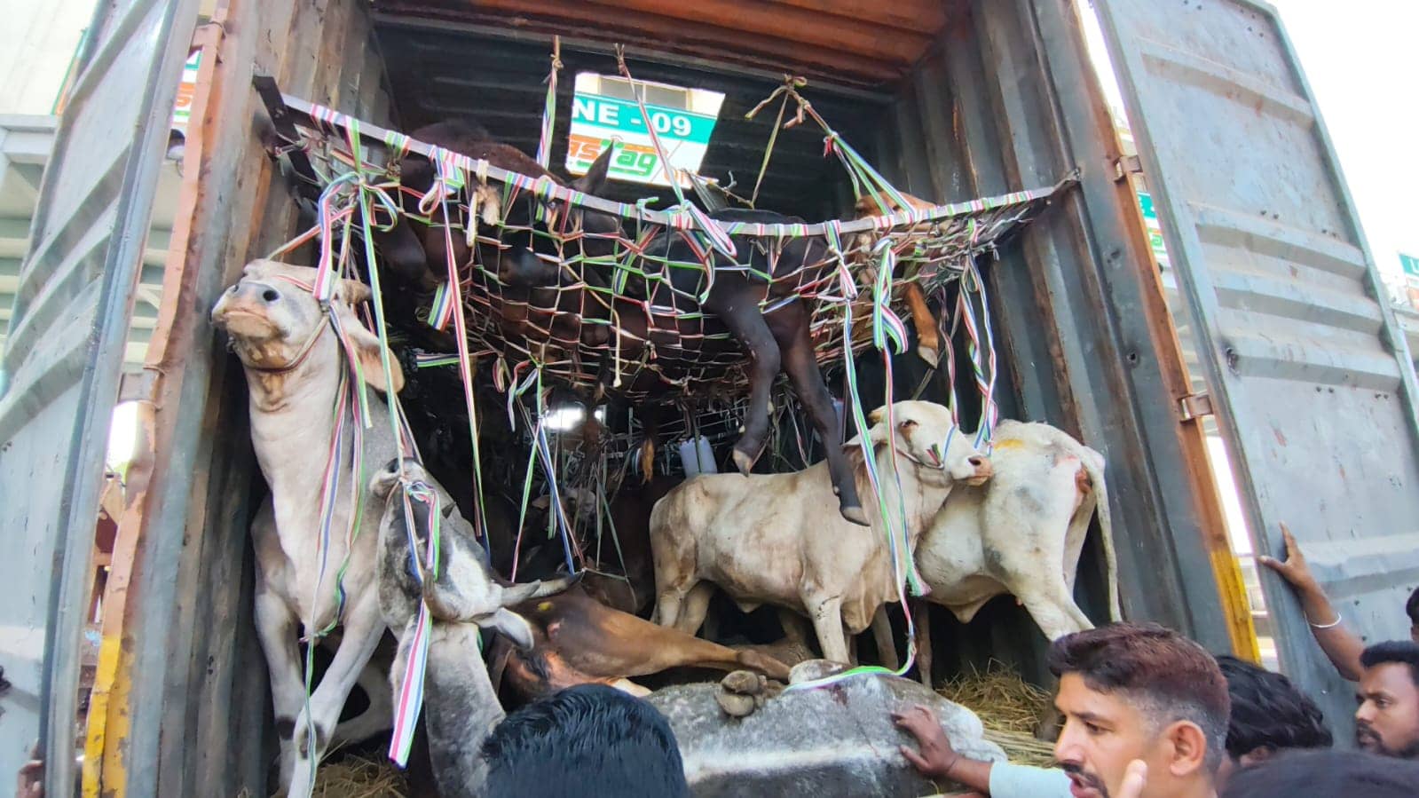 गिरिडीह में ग्रामीणों ने मवेशियों से भरा कंटेनर पकड़ा, किया पुलिस के हवाले, बंगाल भेजने की थी तैयारी