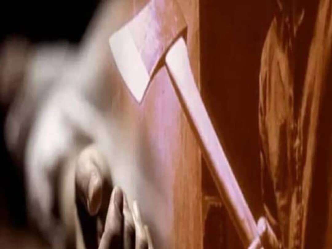 पति ने टांगी से काटकर की पत्नी की हत्या, बोला- हुजूर....नींद में थे, गलती हो गई