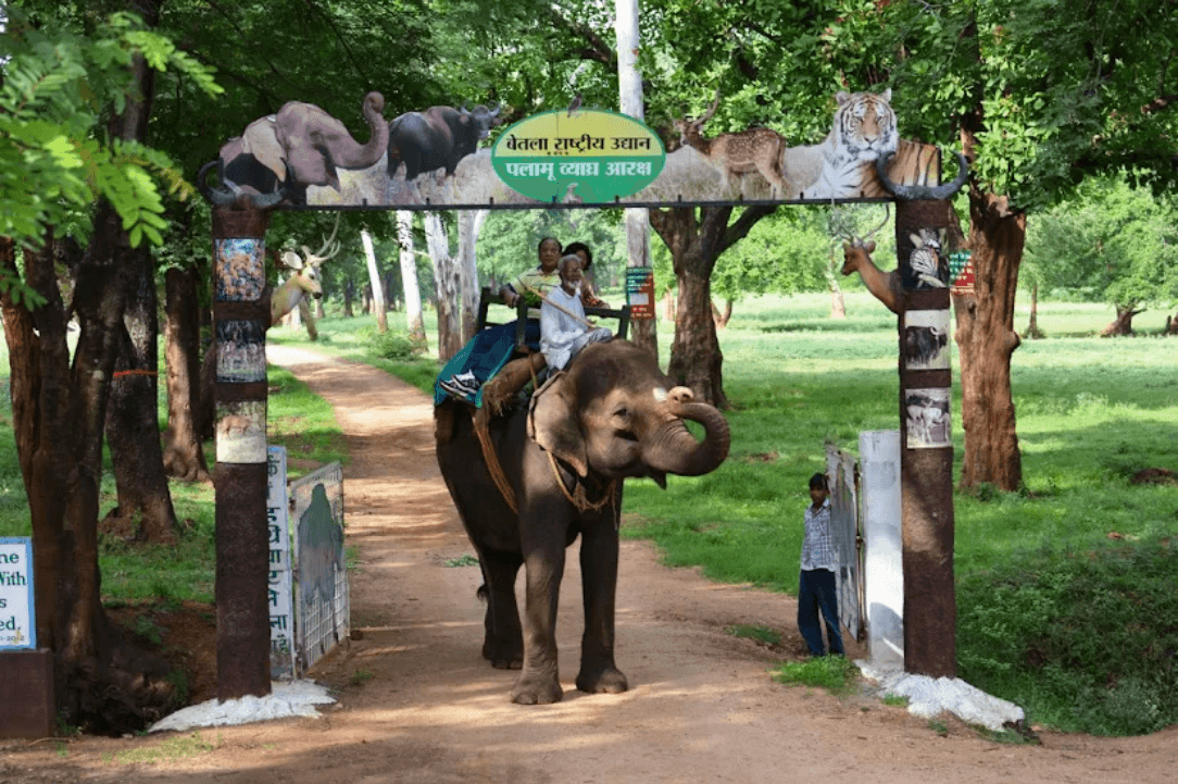 Jharkhand Tourism: ट्री हाउस पर स्टे और हाथी की सवारी का आनंद, गर्मी की छुट्टियों में चले आइए पलामू के बेतला नेशनल पार्क