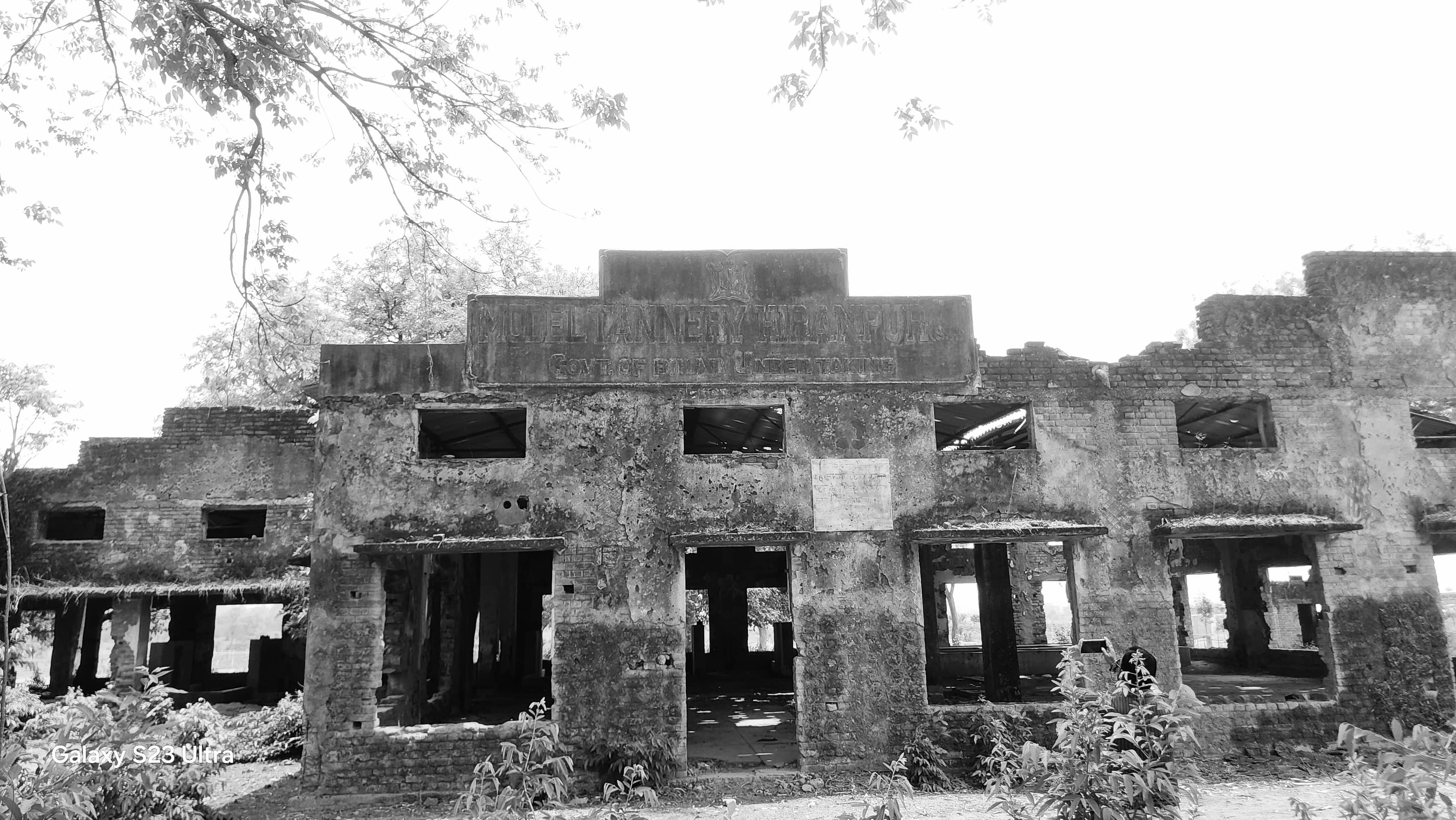 खंडहर बन गया रोजगार का सपना: हिरणपुर के तारापुर में चमड़ा उद्योग की दर्द भरी दास्तान…