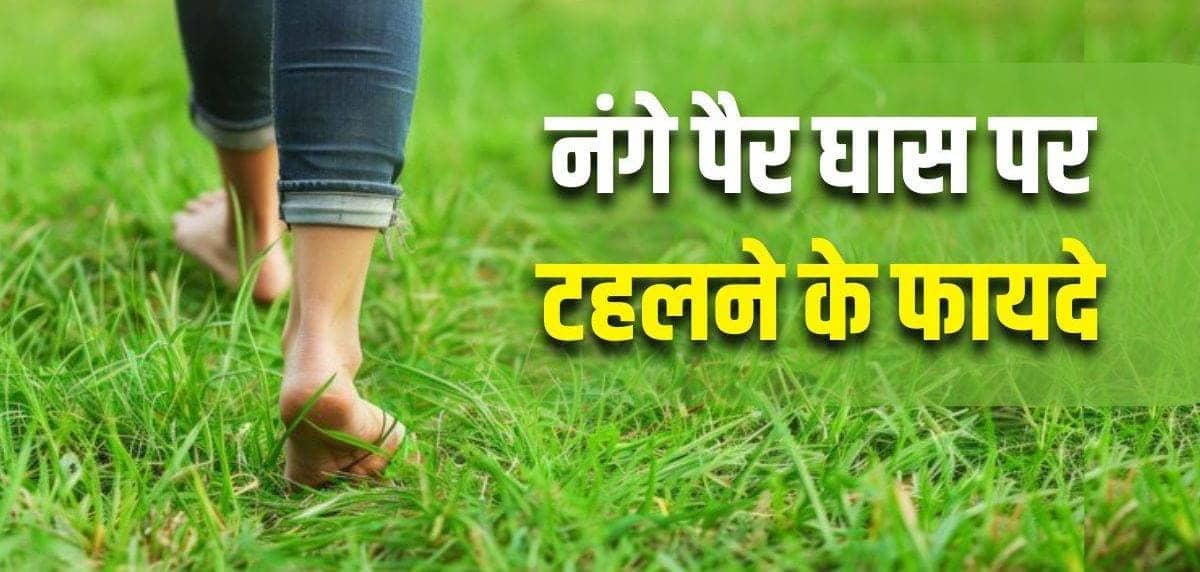 Health Tips: घास पर 10 मिनट नंगे पैर चलने के 5 गजब फायदे, जानिए डॉक्टर की क्या है सलाह
