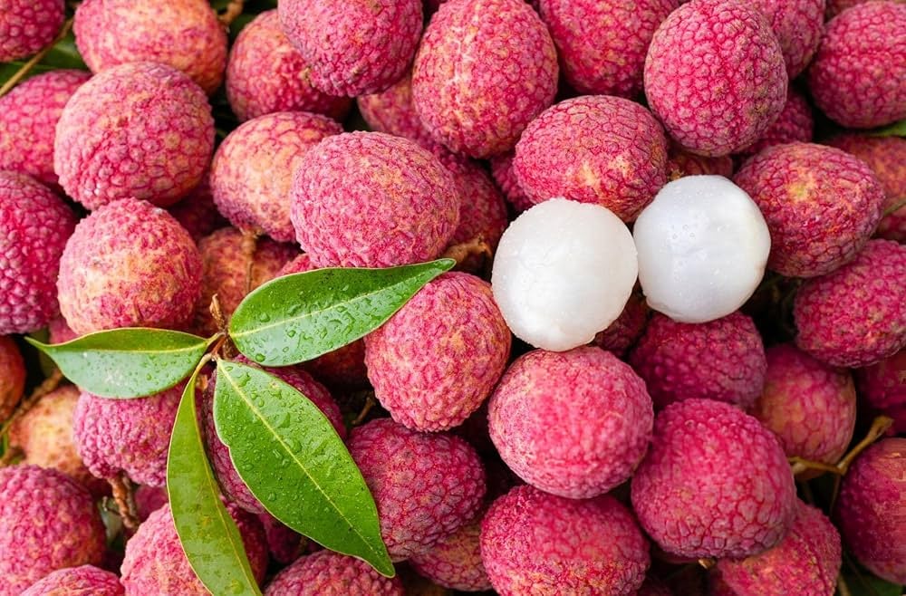 लीची खाने के शौकीन पहले जान लें ये जरूरी बात, ये गलती आपकी सेहत को ऐसे कर सकता है खराब