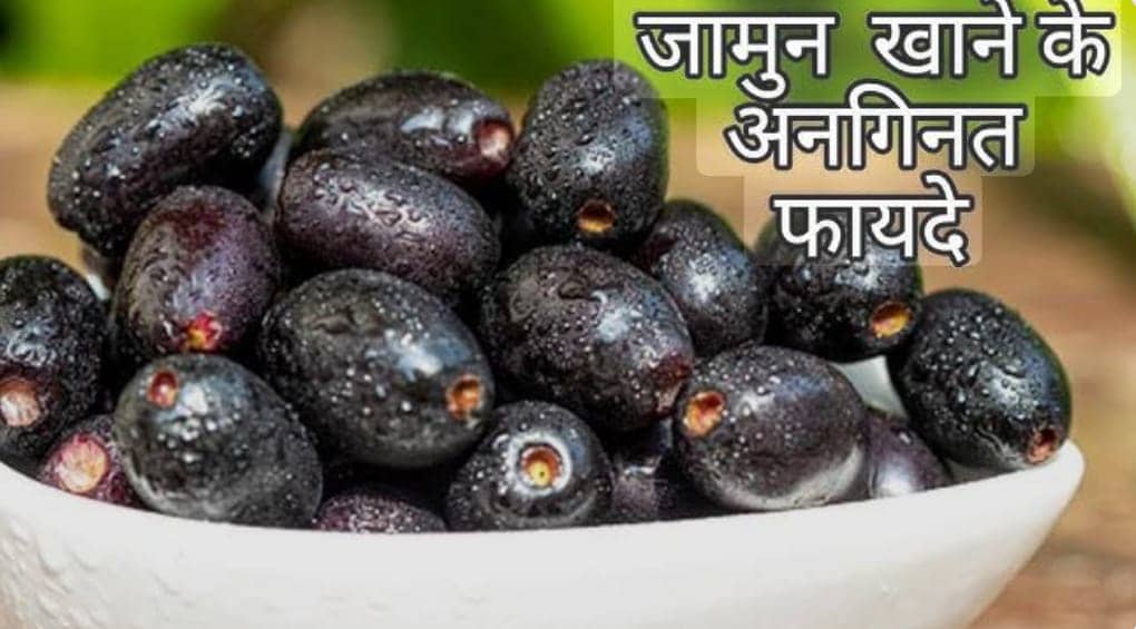 गुणों से भरपूर है गर्मियों का सुपर फ्रूट जामुन, डायबिटीज से लेकर दिल को रखे सेहतमंद