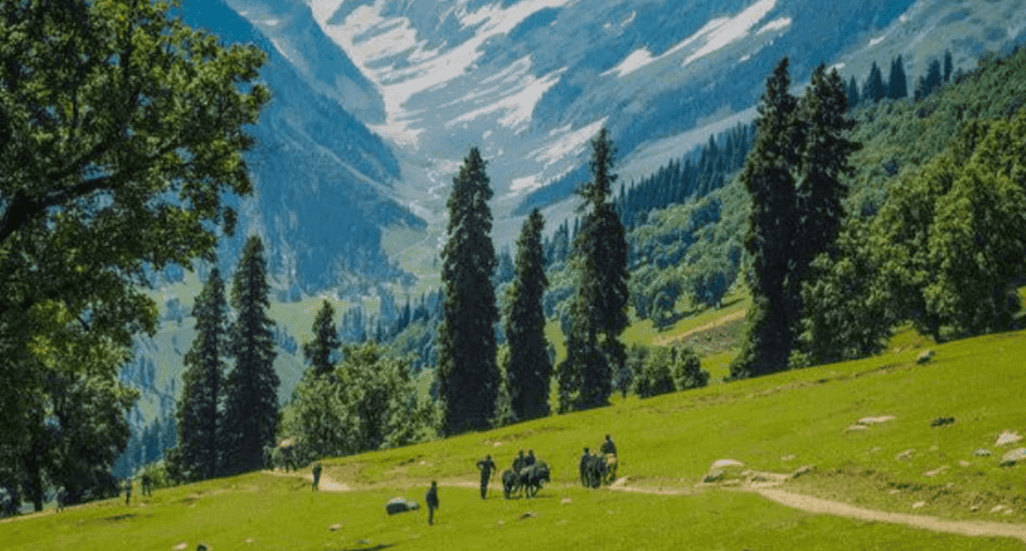 Tour and Travels:हर बार पहलगाम ही क्यों, इस बार कश्मीर के इन खूबसूरत वादियों में बिताएं छुट्टियां