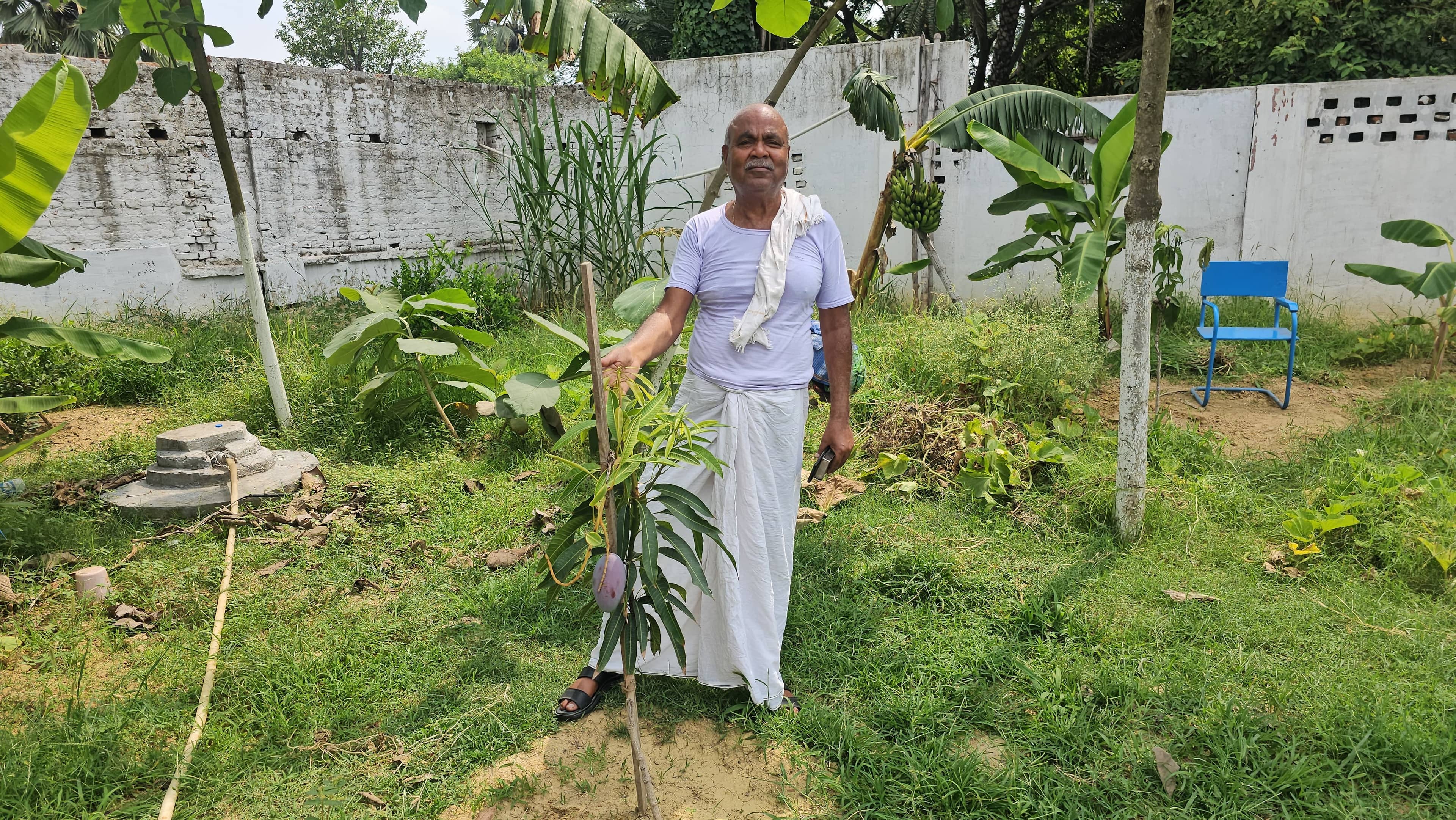 गोड्डा के इस किसान ने उगाया दुनिया का सबसे महंगे वैरायटी का आम, कीमत 3 लाख रुपए किलो, जानिए क्या है खूबी