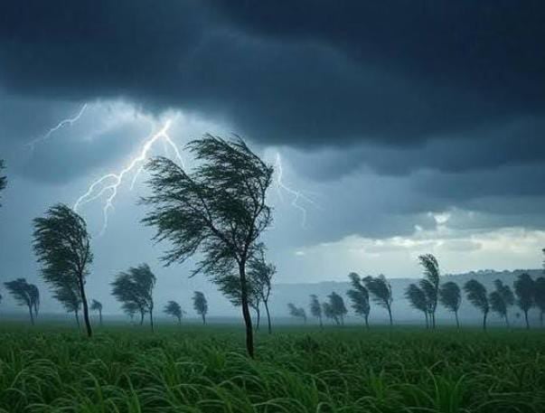 Weather Alert:26 जुलाई तक झारखंड में बारिश से राहत नहीं, आज इन जिलों के लोग बारिश और वज्रपात से रहें सावधान