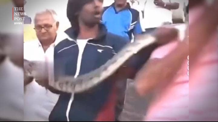 OMG! अजगर के साथ सेल्फी लेना इस युवक को पड़ा भारी, जैसा ही निकाला फोन हलक में आ गई जान, देखें-VIRAL VIDEO