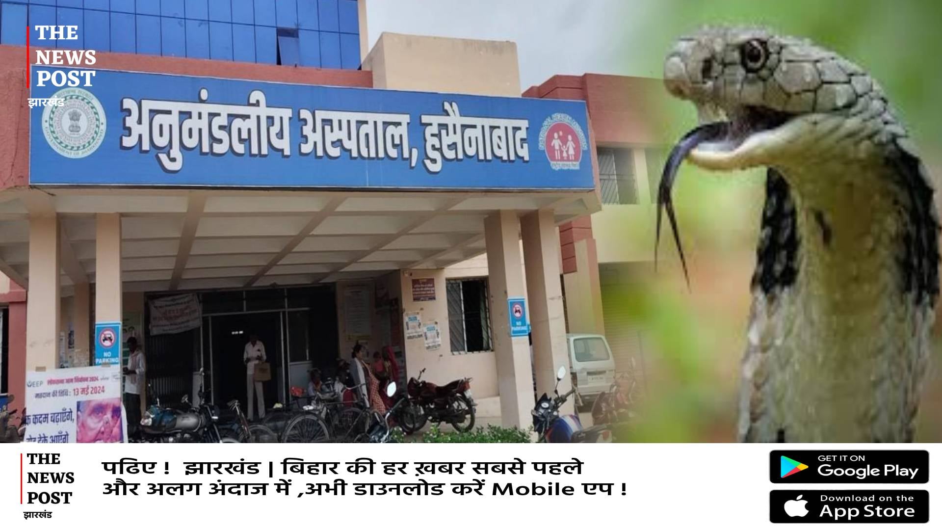 हुसैनाबाद में खटिया पर सो रहे बुजुर्ग को सांप ने डंसा तो सांप का हो गया काम तमाम, फिर जो हुआ मच गयी चीत्कार