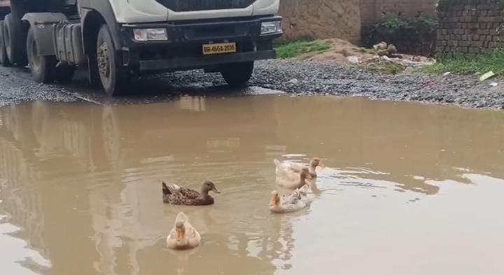 बीच सड़क बत्तख करने लगे अटखेलियां तब रुक गई रफ्तार और हुआ आवागमन बाधित, जानिए क्यों