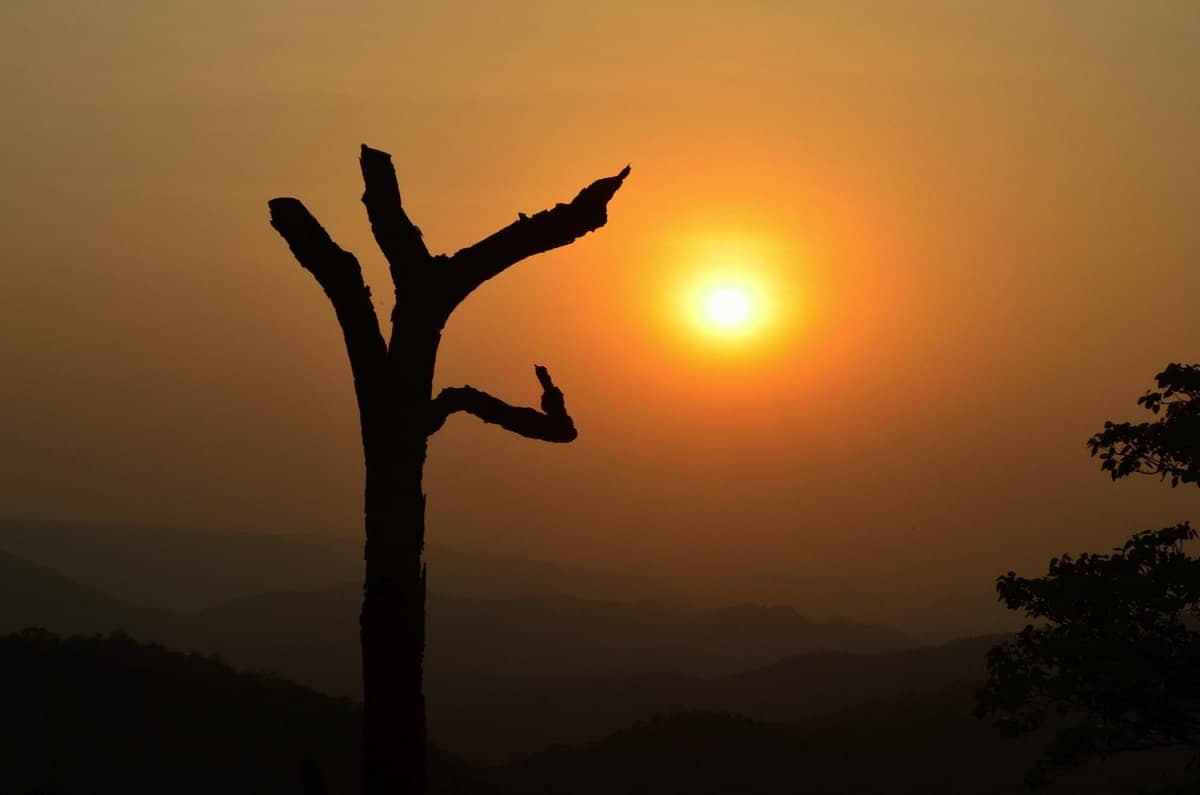 झारखंड के इस टूरिस्ट स्पॉट के आगे मसूरी और शिमला भी है फेल, शाम होते-होते ऑरेंज हो जाती पूरी घाटी, देखना चाहते है स्वर्ग का नजारा तो दिसंबर में कर ले प्लान