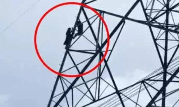 ऐसी दीवानगी देखी नहीं कहीं...प्यार में पागल नाबालिक लड़की ने बिजली टावर पर चढ़कर किया कुछ ऐसा कि थम गई प्रेमी की सांसे, देखिए-VIDEO