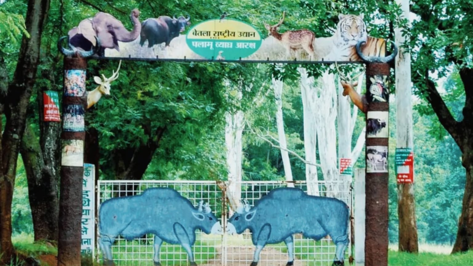 खुशखबरी! 27 सितंबर से खुल जाएगा बेतला नेशनल पार्क, ओपन सफारी का ले सकेंगे भरपूर आनंद