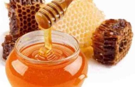 शहद उत्पादन में देश का चौथा सबसे बड़ा उत्पादक राज्य बना बिहार, हजारों लोगों को मिला रोजगार