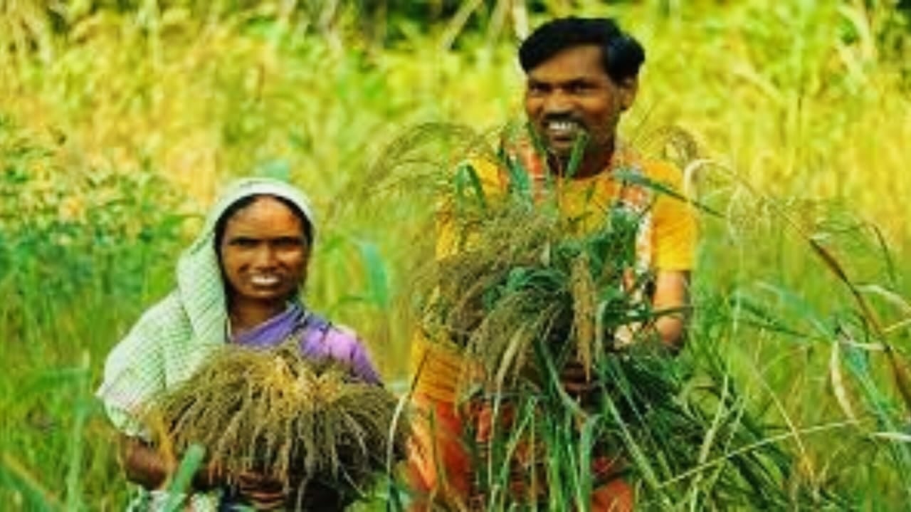किसानों के लिए खुशखबरी! कृषि बाजार प्रांगणों का होगा आधुनिकीकरण, अब किसानों को मिलेगी अनेकों सुविधाएं