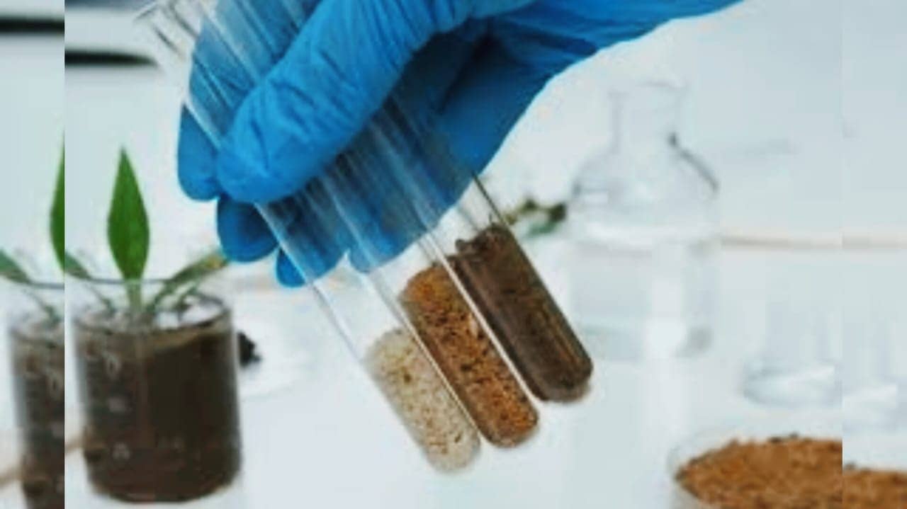 बिहार के 25 जिलों में बनेगी 32 अनुमंडल स्तरीय मिट्टी जांच प्रयोगशालाएं, 12 पैरामीटर्स पर होगी टेस्टिंग