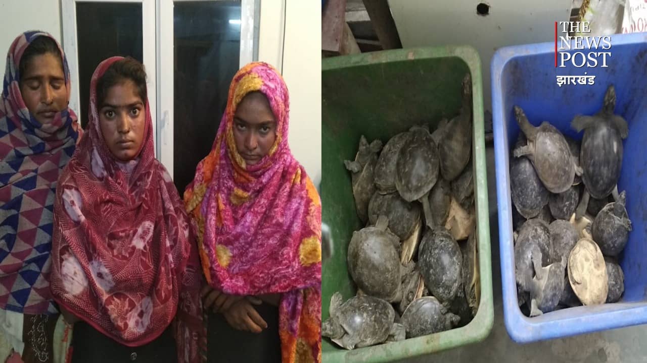140 जिंदा कछुए के साथ तीन महिला गिरफ्तार, आसनसोल पहुंचाने की थी योजना