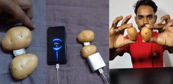 क्या सचमुच आलू से चार्ज हो जाता है मोबाइल फोन? क्या है VIRAL VIDEO का सच आप भी देखिए