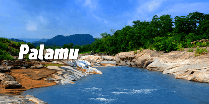 एक नजर में पलामू की दिन भर की छोटी बड़ी खबरें .