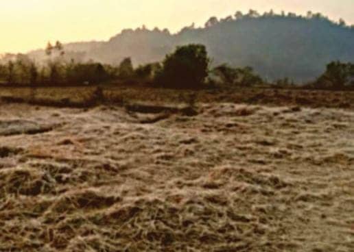 Weather Alert: झारखंड में सूर्य के दर्शन भी हुए दुर्लभ! बर्फीली हवा से बढ़ रही है लोगों की परेशानी, पढ़े आज का हाल