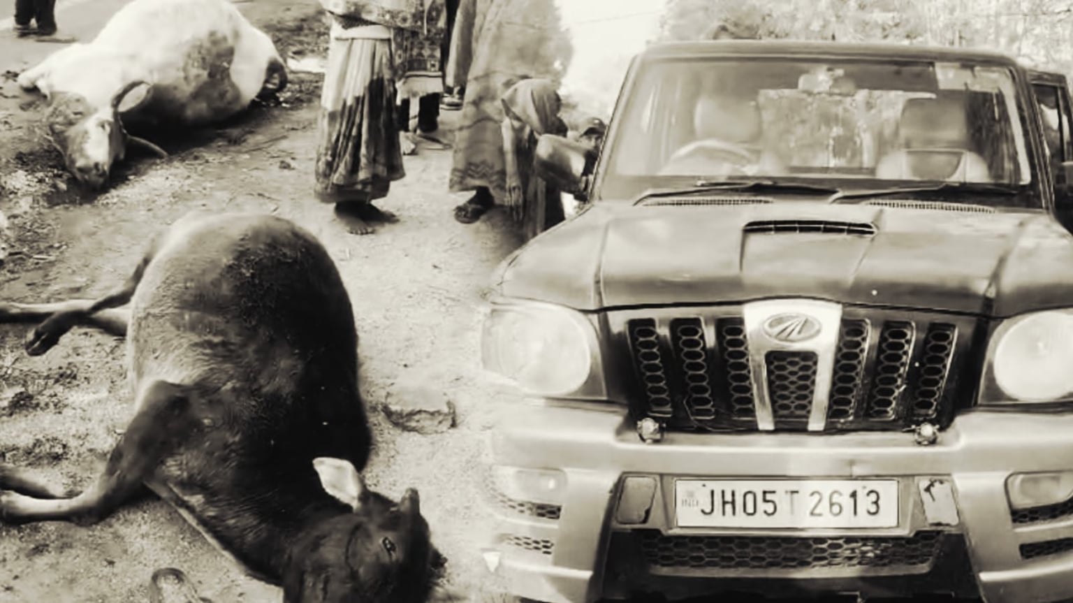 The smugglers were transporting cattle in a Scorpio; the vehicle broke down and they fled। स्कॉर्पियो में भरकर ले जा रहे थे गोवंश, गाड़ी खराब होते ही भागे तस्कर, वाहन जब्त