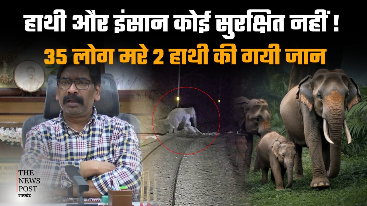 Both elephants and humans are unsafe in Jharkhand! The Forest Department remains asleep despite the Chief Minister's orders.|झारखंड में हाथी और इंसान दोनों असुरक्षित!सीएम के आदेश के बाद भी नींद में सोया वन विभाग