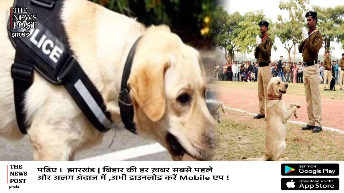 बिहार पुलिस में शामिल हुए 96 डॉग स्कॉयड,बेहतर अनुसंधान में मिलेगी मदद