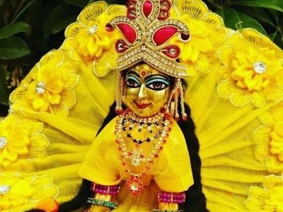 कृष्ण जन्माष्टमी आज,घर-घर पधारेंगे बाल गोपाल