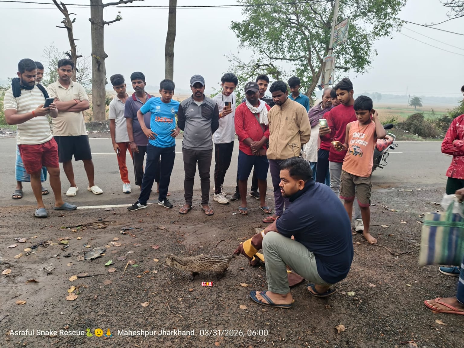 पाकुड़ की सड़क पर अचानक कस्तूरी बिल्ली देख सहमे लोग, वन विभाग ने किया सुरक्षित रेस्क्यू