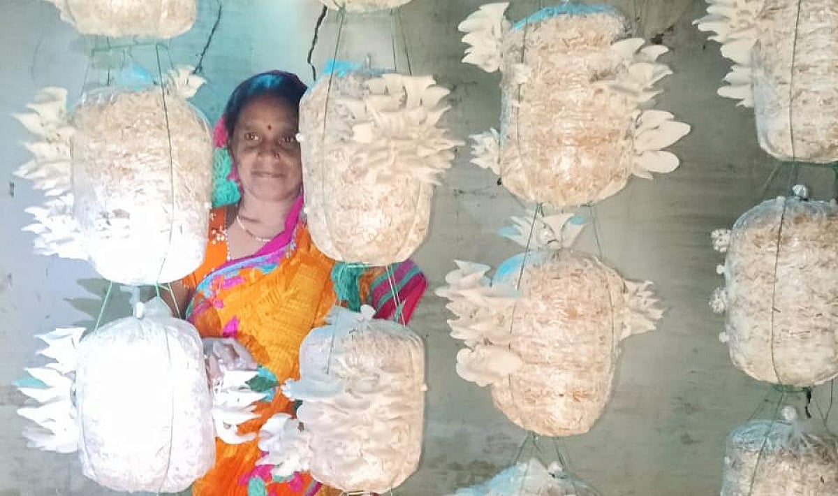 लौहनगरी की महिलाएं बन रही है आत्मनिर्भर, मशरूम उत्पादन से मिल रही नई पहचान
