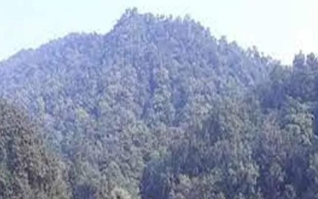 बूढा पहाड़ पर नक्सलियों में हड़कंप, कई नक्सली संगठन छोड़ हुए फरार