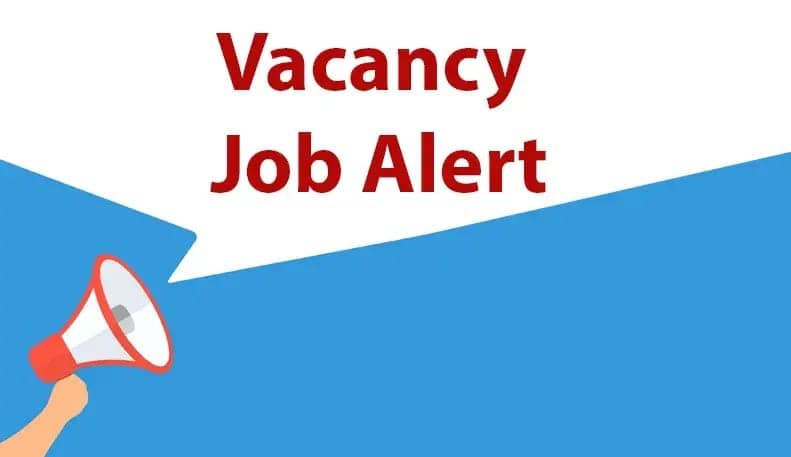 झारखंड में 12 वीं पास के लिए सुनहरा मौका, JSSC के इन पदों पर निकली भर्ती, जानें पूरी प्रक्रिया